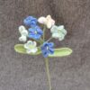 Forget-Me-Not Stalk